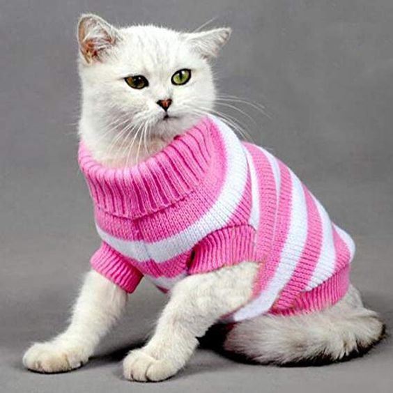 TAILSPIN™ - Cat Sweater